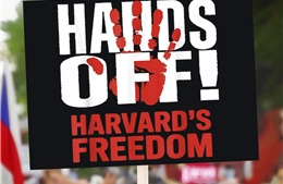 Harvard thắng vòng đầu trong cuộc chiến pháp lý bảo vệ sinh viên quốc tế