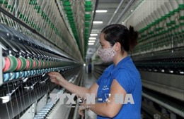 CPTPP và EVFTA tạo sức hút đầu tư vào dệt may Việt Nam