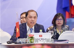 Việt Nam chủ động tham gia, thực hiện đầy đủ các cam kết của ASEAN