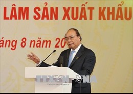 Thủ tướng Nguyễn Xuân Phúc: Đưa chế biến gỗ và lâm sản thành ngành mũi nhọn