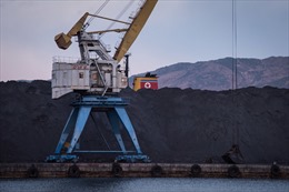 Hàn Quốc chuẩn bị báo cáo LHQ về hoạt động chuyển than của Triều Tiên