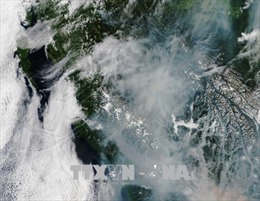 Hơn 560 đám cháy rừng lan rộng, Canada ban bố tình trạng khẩn cấp
