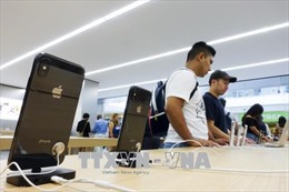 Apple dỡ bỏ hàng nghìn ứng dụng liên quan đánh bạc trực tuyến tại Trung Quốc