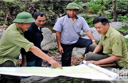 Bắc Giang xử lý nghiêm tình trạng phá rừng, lấn chiếm trái phép