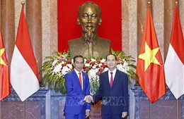 Chủ tịch nước Trần Đại Quang và Phu nhân chủ trì lễ đón Tổng thống Cộng hòa Indonesia và Phu nhân