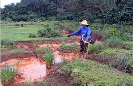 Nước có màu đỏ chảy ra suối Đắk Ker (Đắk Nông) không ảnh hưởng tới môi trường