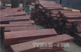 Phát hiện hơn 27m3 gỗ quý hiếm giấu trong các kiện phế liệu chuyển từ Lào về