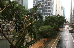 Siêu bão Mangkhut gây thiệt hại nghiêm trọng tại Hong Kong và Macau