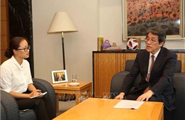 Đại sứ Umeda Kunio: Nhật Bản đặc biệt coi trọng quan hệ hợp tác với Việt Nam