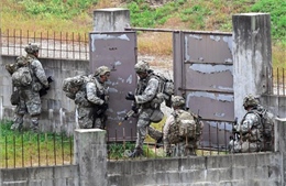 Ngừng tập trận Mỹ - Hàn làm suy giảm tính sẵn sàng chiến đấu
