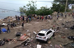 Chưa có thông tin người Việt Nam bị thương vong trong trận động đất, sóng thần tại Indonesia