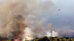 Cháy rừng tại Bồ Đào Nha