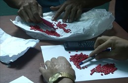 Bắt đối tượng vận chuyển ma túy tổng hợp từ Lào về Việt Nam