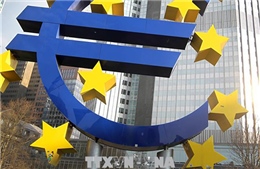ECB: Tình hình kinh tế Eurozone vẫn vững mạnh