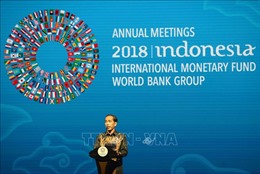 Hội nghị IMF-WB: Khai mạc phiên họp toàn thể 