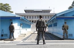 Hoàn tất thanh sát giải giáp vũ khí tại khu vực an ninh chung trên biên giới liên Triều