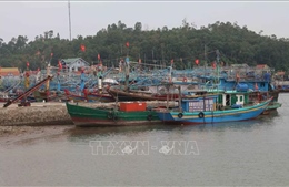 Ứng phó siêu bão giật trên cấp 17 đổ bộ từ Quảng Ninh đến Khánh Hòa trong 24 giờ tới