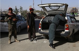 Quân đội Afghanistan tiêu diệt chỉ huy chiến trường cấp cao của Taliban