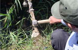 Vụ kênh mương bê tông cốt gỗ ở Bình Định: Không phát hiện thêm sai phạm