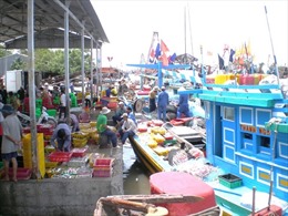 Hàng trăm tàu cá cập bến mỗi ngày, cảng cá Định An quá tải