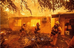 Chưa có thông tin người Việt Nam thiệt mạng trong vụ cháy rừng tại Mỹ