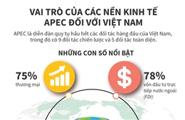 Vai trò của các nền kinh tế APEC đối với Việt Nam