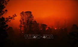 1.010 người mất tích trong thảm họa cháy rừng ở California