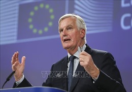 Trưởng đoàn đàm phán EU đề xuất kéo dài thời kỳ chuyển đổi Brexit
