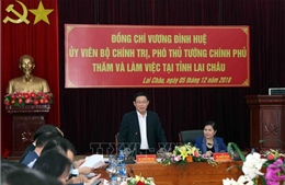 Lai Châu cần phấn đấu nâng tỷ lệ che phủ rừng trên 60%