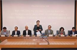Hà Nội báo cáo Đảng đoàn Quốc hội về Đề án thí điểm chính quyền đô thị