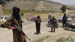 Taliban đàm phán với Mỹ, từ chối gặp đại diện Chính phủ Afghanistan