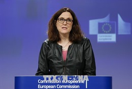 EU khẳng định nông nghiệp không nằm trong thỏa thuận thương mại với Mỹ