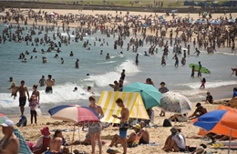 Nhiều thành phố của Australia lọt vào danh sách những nơi nóng nhất Trái Đất 