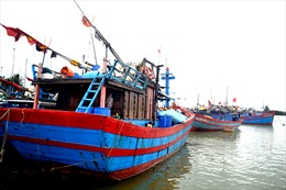  Ngư dân Quảng Nam hối hả vươn khơi dịp cuối năm