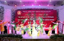 Chào Xuân mới 2019 – Gặp mặt người Việt Nam ở nước ngoài tại Thái Nguyên