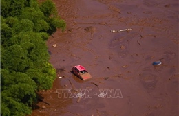 Vỡ đập hồ chứa chất thải tại Brazil, 200 người mất tích