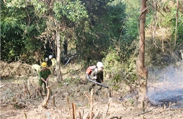 Nguy cơ cháy rừng cấp cực kỳ nguy hiểm tại Lào Cai 