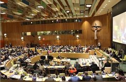 Việt Nam tham dự phiên điều trần nghị viện tại Liên hợp quốc 