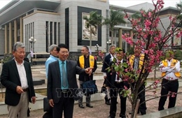 Bắc Giang tiếp nhận 100 cây hoa Anh đào do Nhật Bản trao tặng