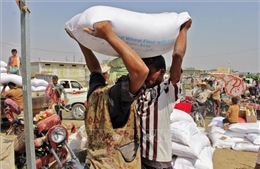 Saudi Arabia đóng góp 500 triệu USD cho chương trình nhân đạo của LHQ tại Yemen