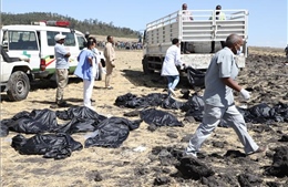 Vụ tai nạn máy bay Ethiopia: Các vụ tai nạn máy bay thảm khốc trên thế giới