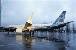 Singapore cấm máy bay Boeing 737 MAX hoạt động trong không phận