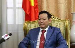 Tổng thống Ai Cập tin tưởng vào mối quan hệ hợp tác với Việt Nam