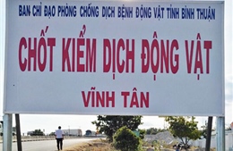 Bình Thuận kiểm soát chặt vận chuyển thịt lợn qua địa bàn