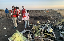 Vụ tai nạn máy bay Ethiopia: Hé lộ thêm những tình tiết mới