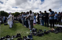 Vụ xả súng tại New Zealand: Các quốc gia Hồi giáo kêu gọi các biện pháp chống làn sóng bài Hồi giáo