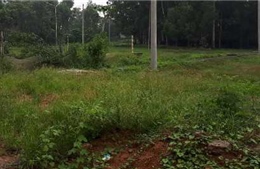 Dự án về y tế ở Vĩnh Phúc sau 6 năm khởi công vẫn bạt ngàn cỏ dại