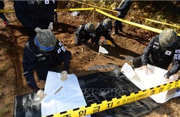 Hàn Quốc bắt đầu khai quật hài cốt binh sỹ tại DMZ