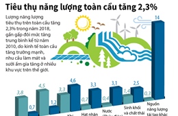 Tiêu thụ năng lượng toàn cầu tăng 2,3%