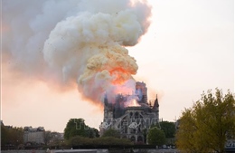 Gia đình tỷ phú Bernard Arnault sẽ hỗ trợ 200 triệu euro khôi phục Nhà thờ Đức Bà Paris